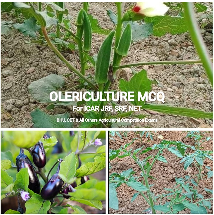 olericulture-objective-questions